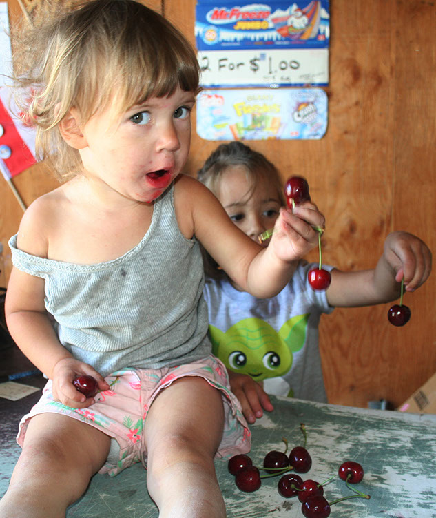 peaches-petersupick.com