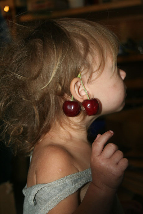 apricot picking-petersupick.com