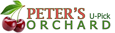 this is image for Peter's orchard logo